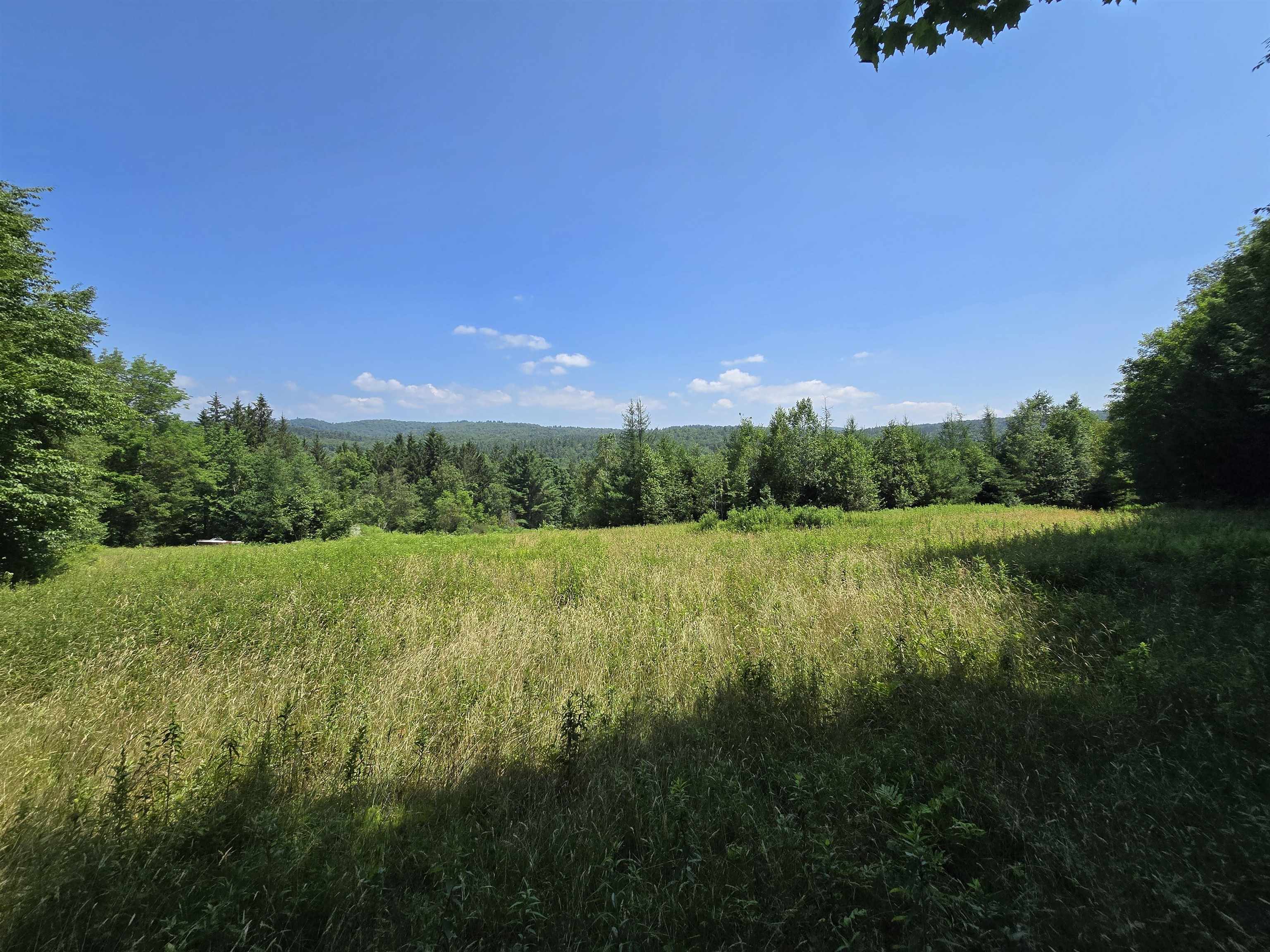 3394 Highway 155 Mount Holly, VT 05730 - Photo 38 of 45