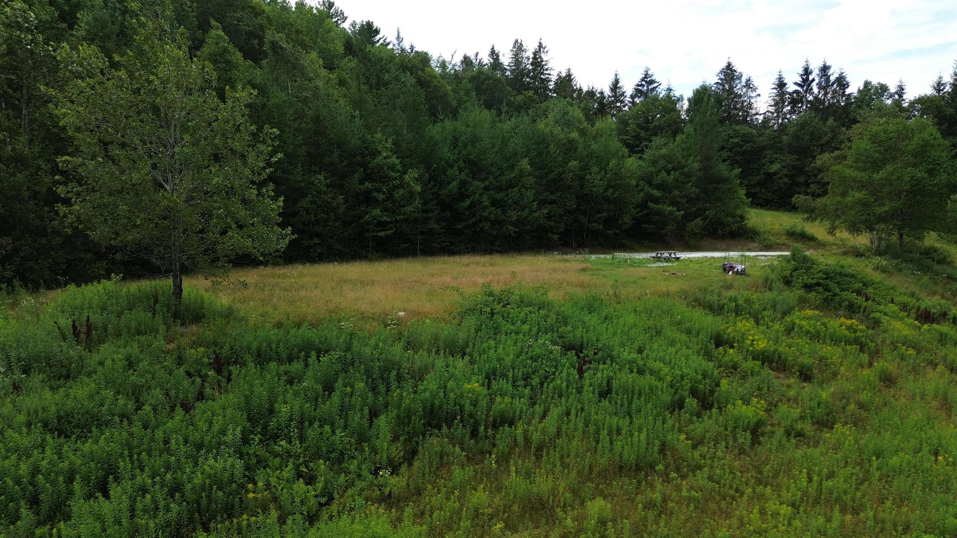 3394 Highway 155 Mount Holly, VT 05730 - Photo 39 of 45