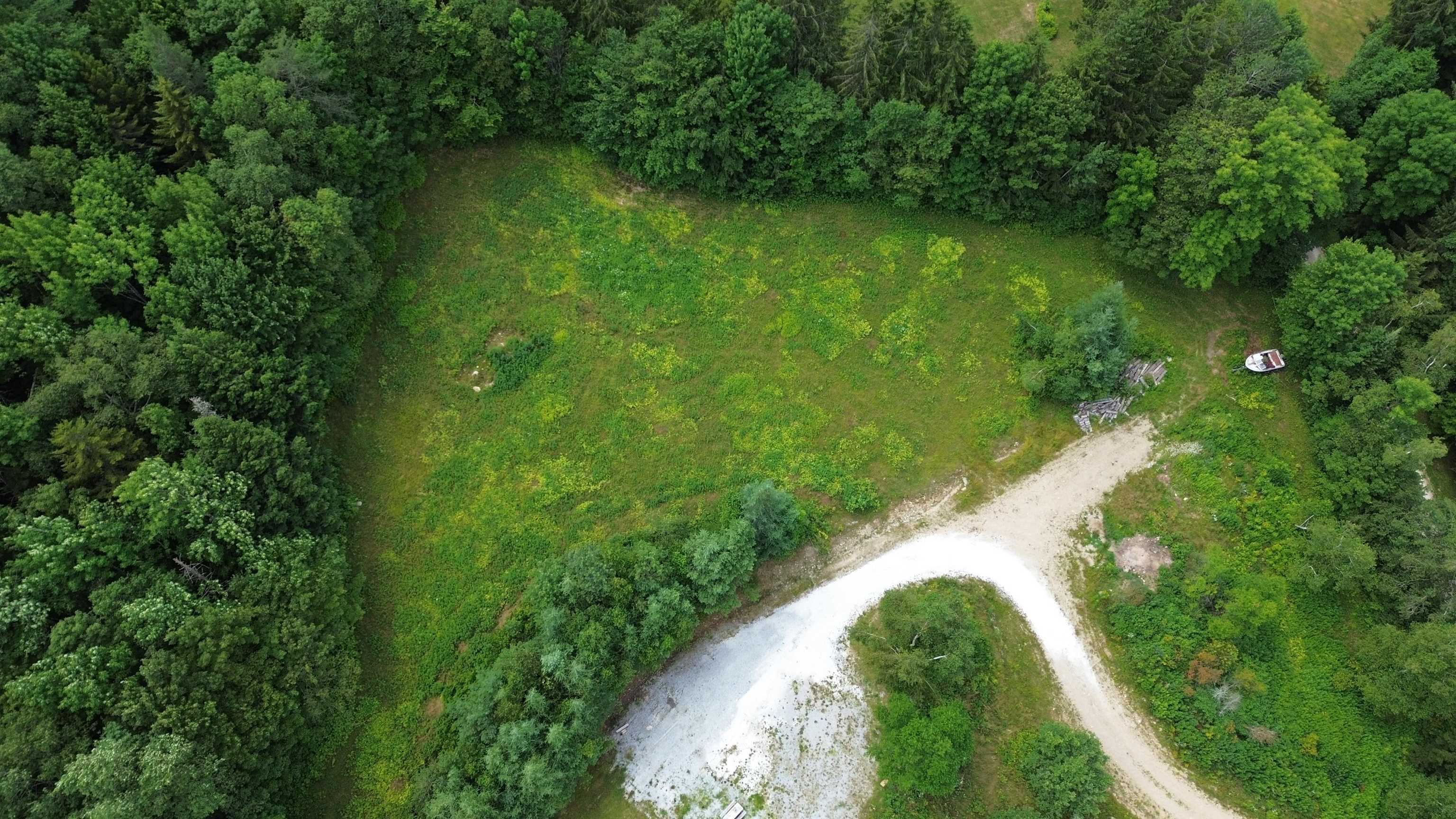 3394 Highway 155 Mount Holly, VT 05730 - Photo 40 of 45