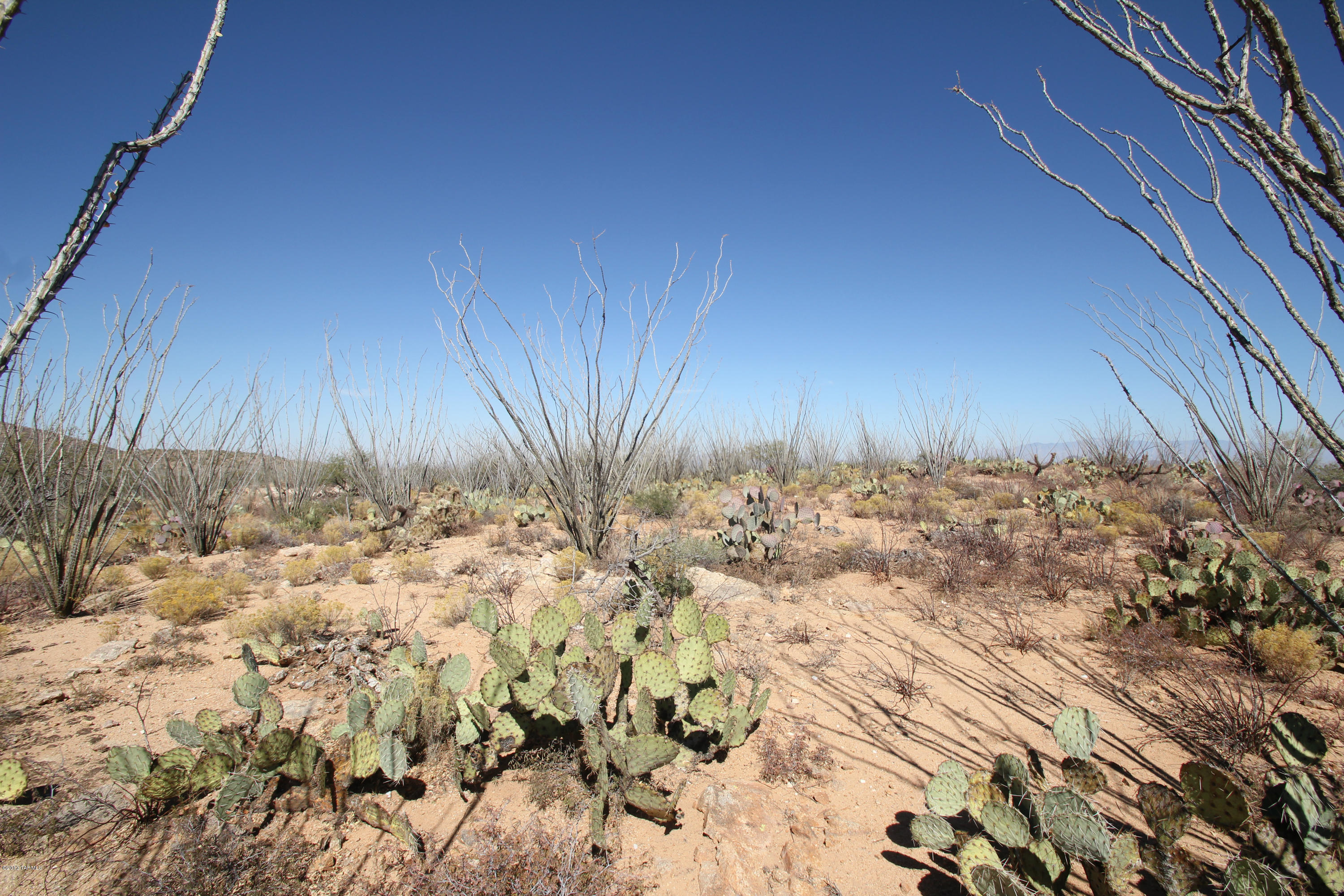 Pinto Road Sahuarita, AZ 85629 - Photo 11 of 17