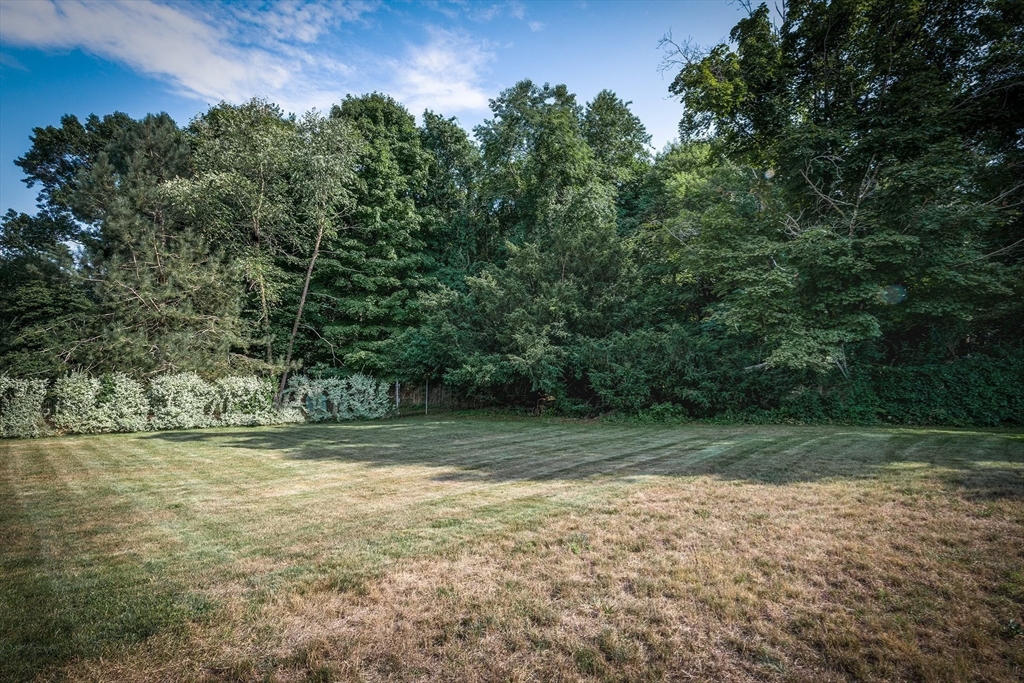 21 Ortins Road Hamilton, MA 01982 - Photo 16 of 16 a view of a yard with a tree