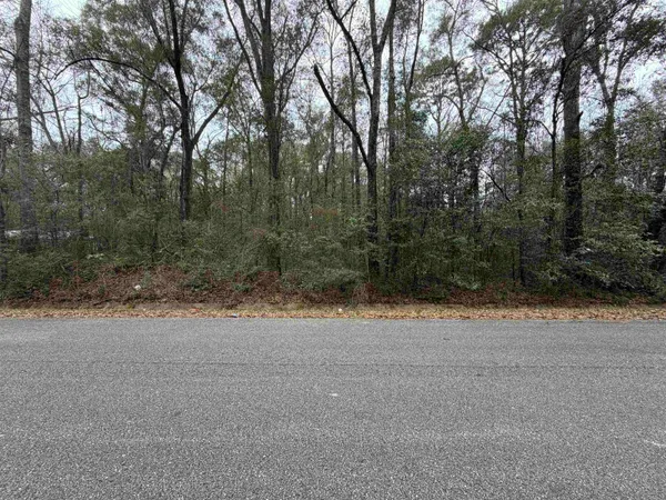 $29,999 | 0 Carol Street, Mobile, AL 36608