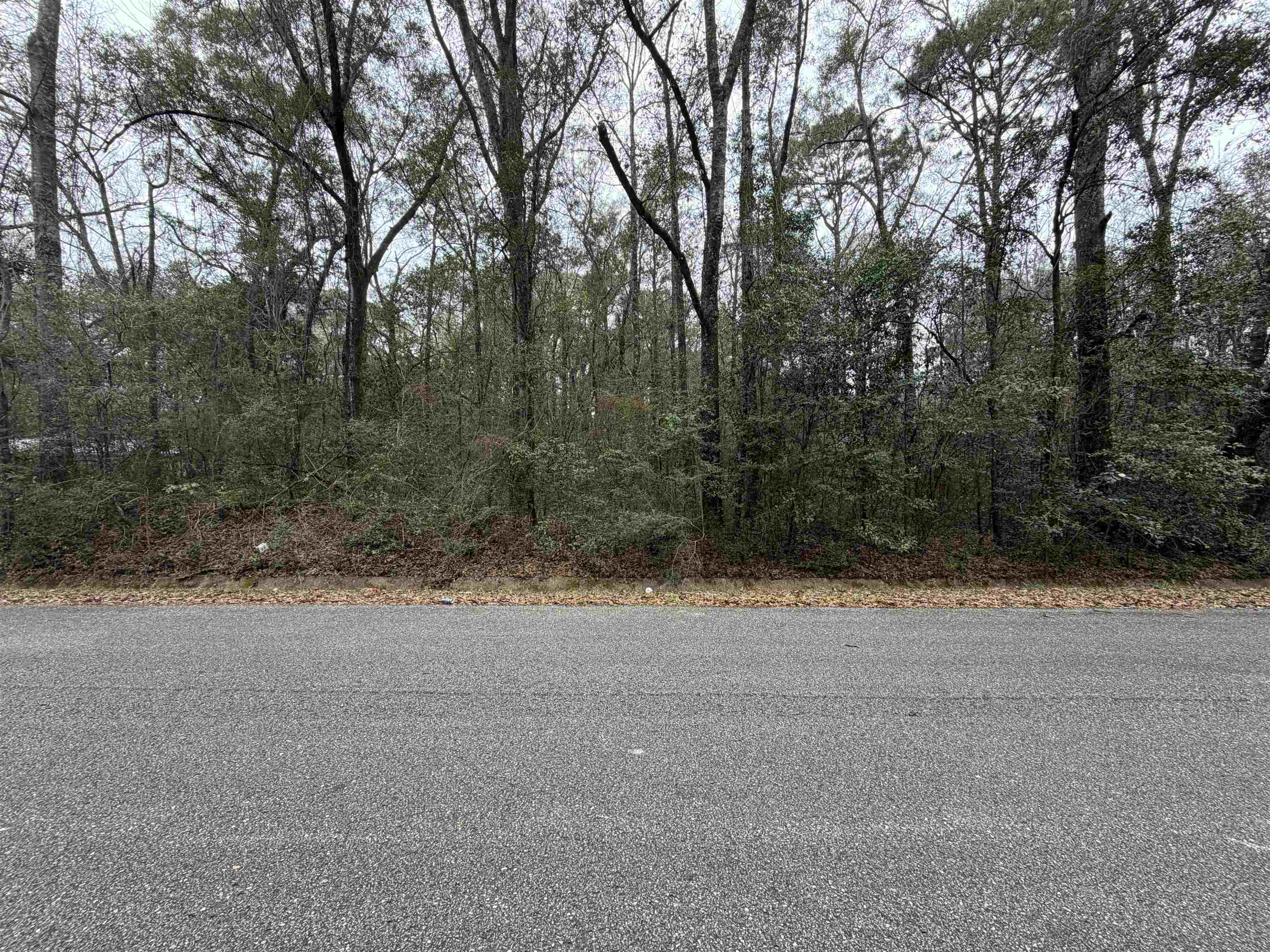 0 Carol Street Mobile, AL 36608 - Photo 1 of 4 View of asphalt road