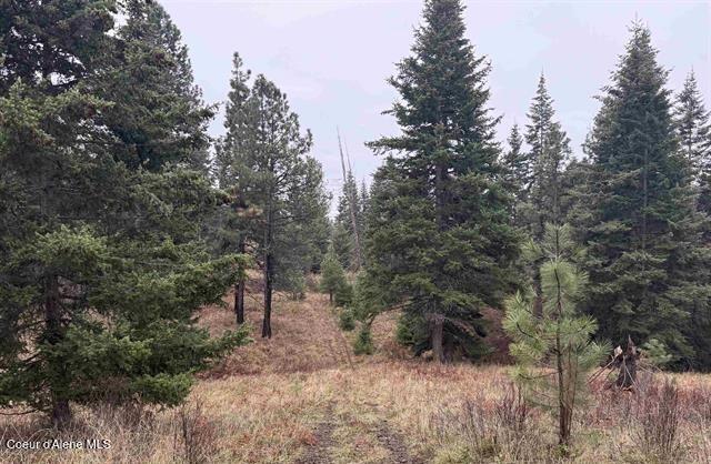 1653 Kidder Ridge Road Kamiah, ID 83536 - Photo 43 of 45 43