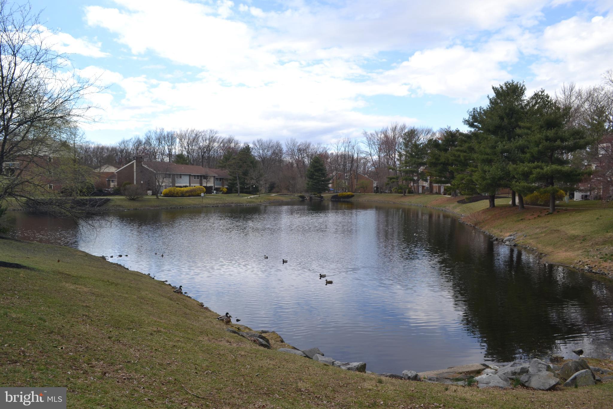 150 Kirkbride Road Voorhees, NJ 08043 - Photo 3 of 25 Rear Pond View