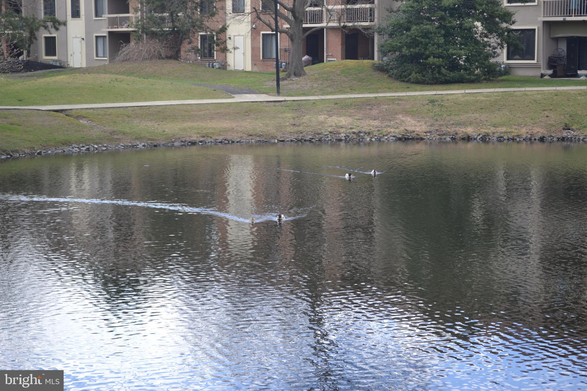 150 Kirkbride Road Voorhees, NJ 08043 - Photo 4 of 25 Rear Pond View
