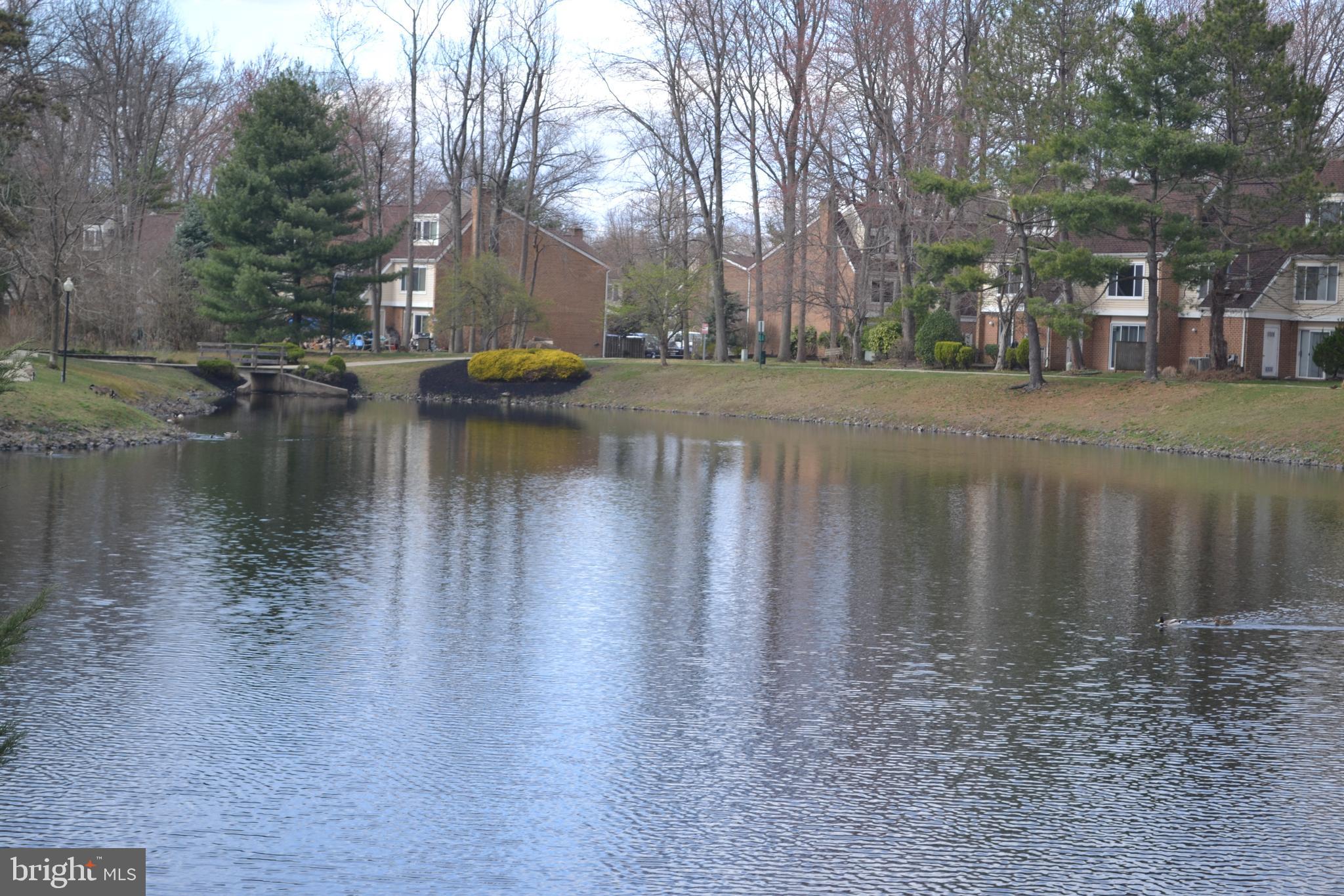 150 Kirkbride Road Voorhees, NJ 08043 - Photo 5 of 25 Rear Pond View