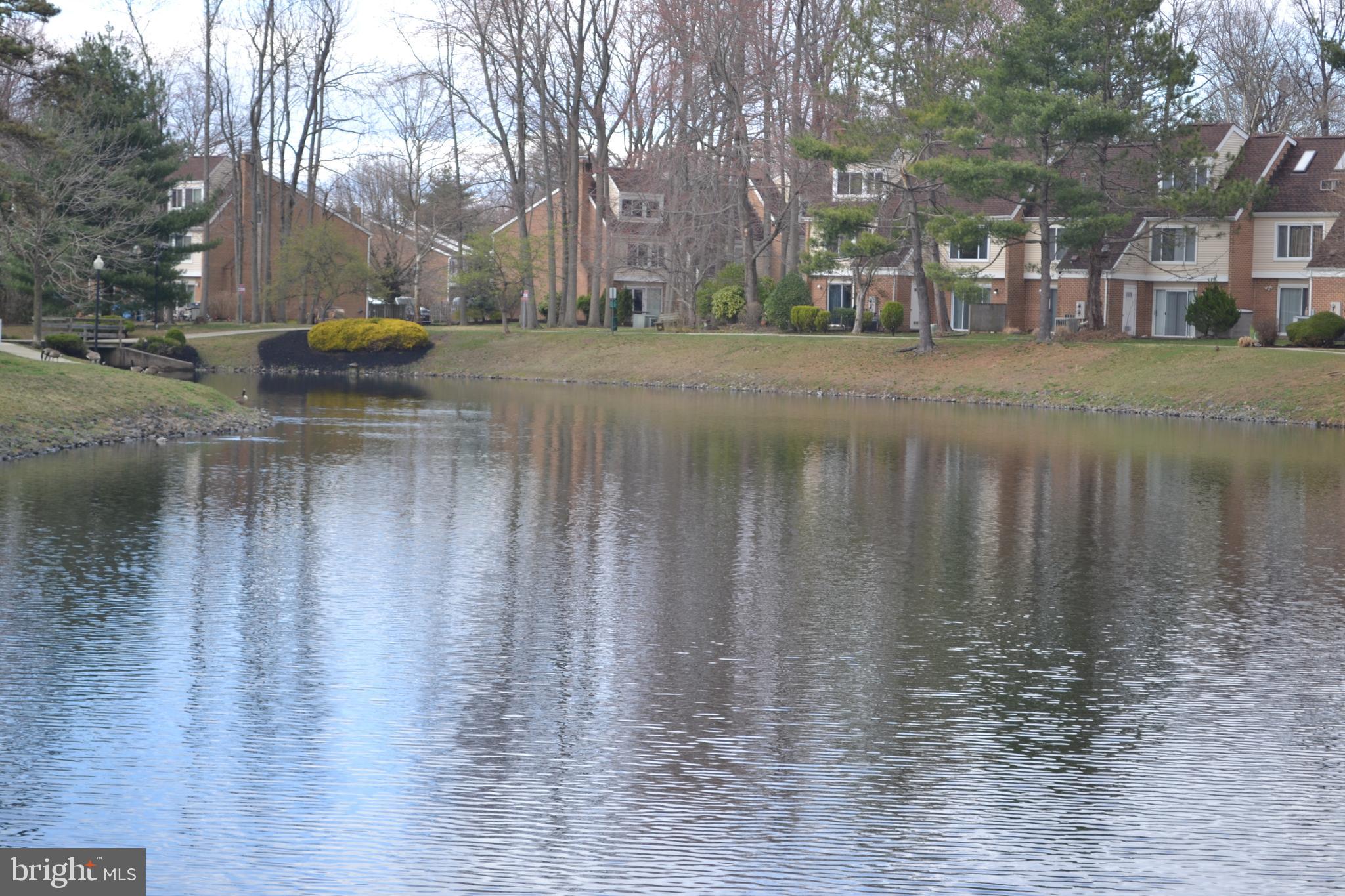 150 Kirkbride Road Voorhees, NJ 08043 - Photo 6 of 25 Rear Pond View