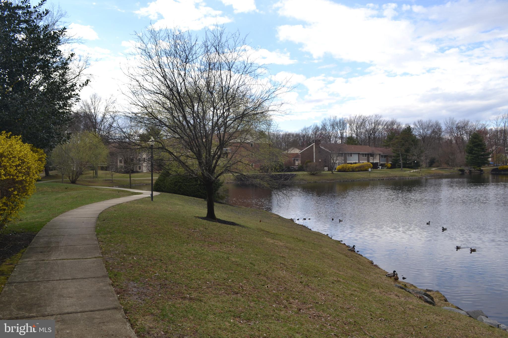 150 Kirkbride Road Voorhees, NJ 08043 - Photo 8 of 25 Rear Pond View / Walking/Bike Path
