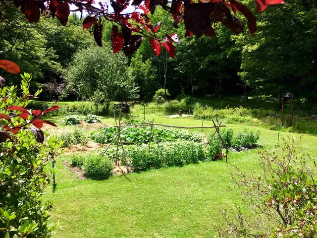 $895,000 | 1607 Massey Road, Springfield, VT 05156