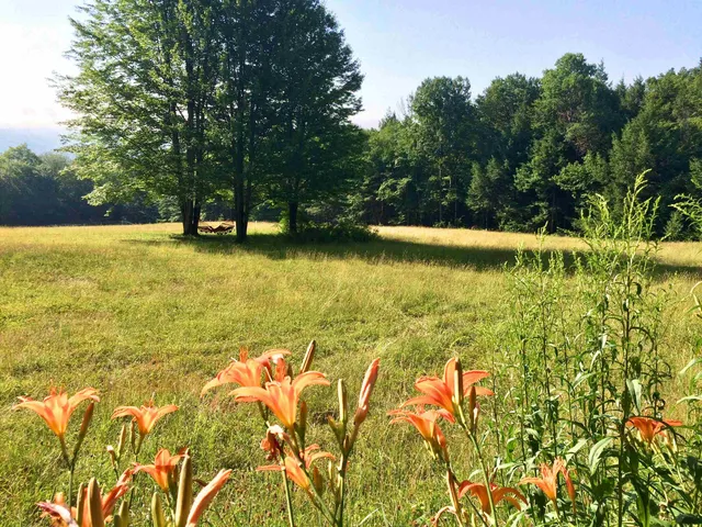 $895,000 | 1607 Massey Road, Springfield, VT 05156