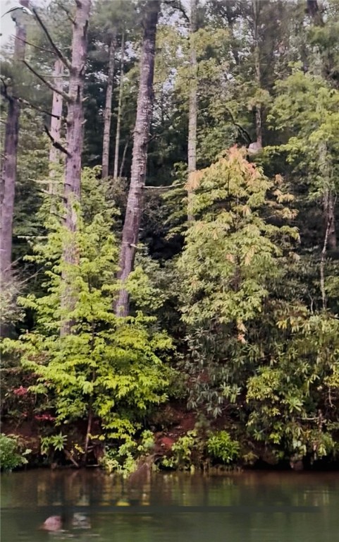 Lakeside view of property