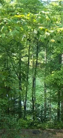 $68,000 | 325 Evergreen Ridge Road, Tamassee, SC 29686