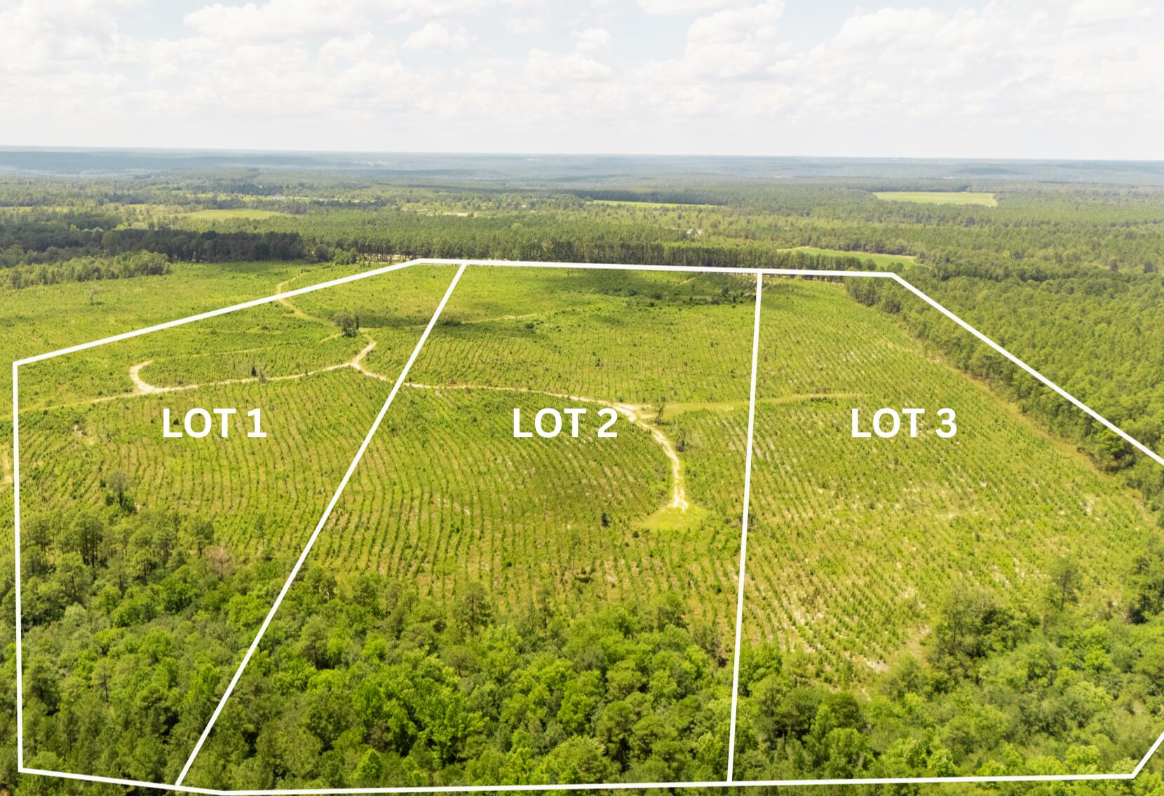 Lot 2 Notch Road Ridge Spring, SC 29129 - Photo 1 of 14