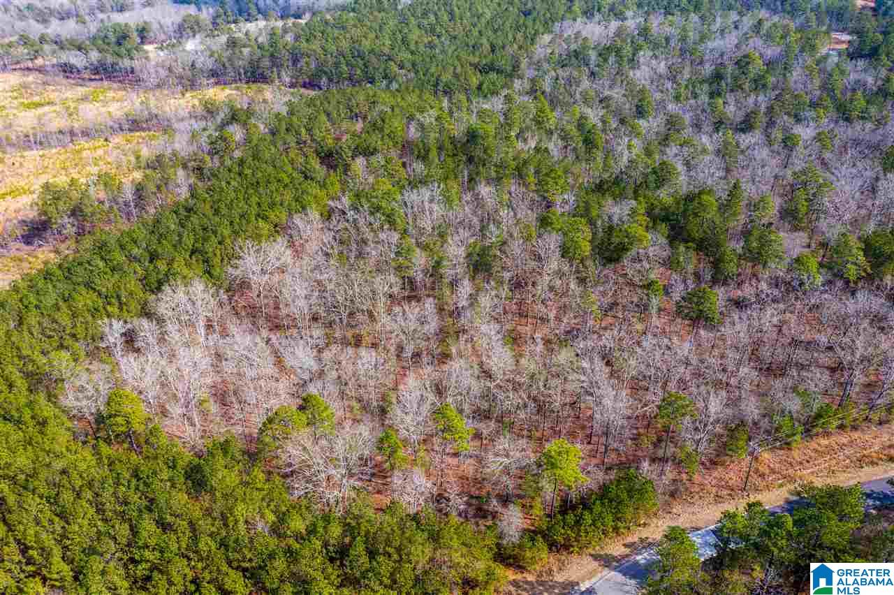 Shore Side Lane Sylacauga, AL 35151 - Photo 8 of 15