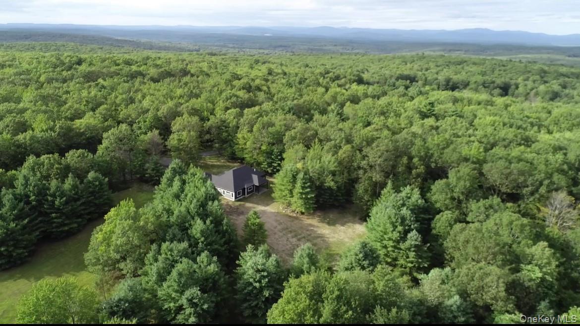 58 Dunn Town Road Wurtsboro, NY 12790 - Photo 5 of 36 a view of a field of a house with a yard
