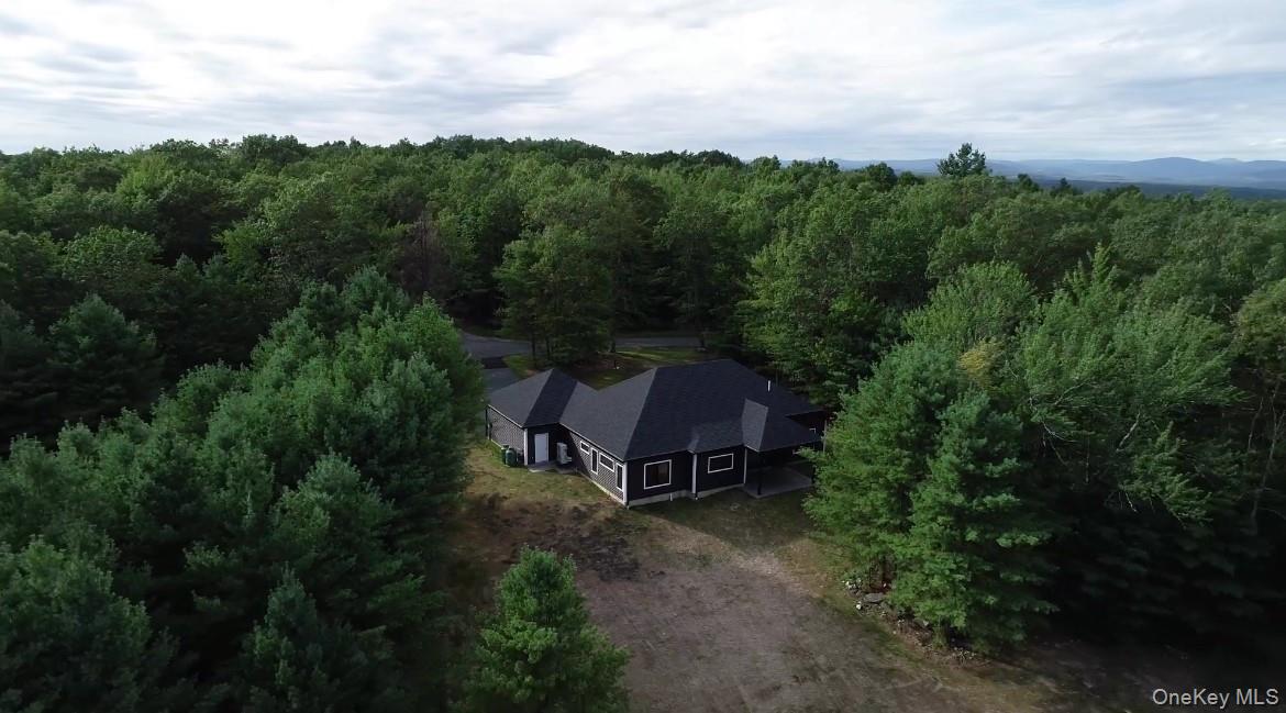 58 Dunn Town Road Wurtsboro, NY 12790 - Photo 6 of 36 an aerial view of a house with mountain view