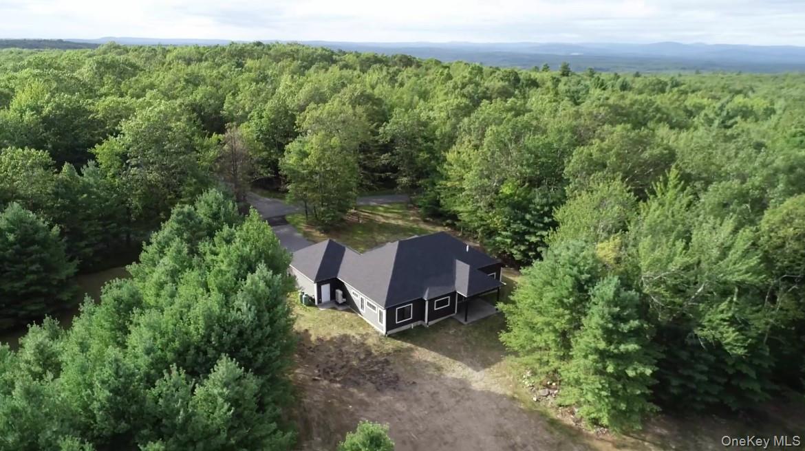 58 Dunn Town Road Wurtsboro, NY 12790 - Photo 7 of 36 an aerial view of a house with a yard