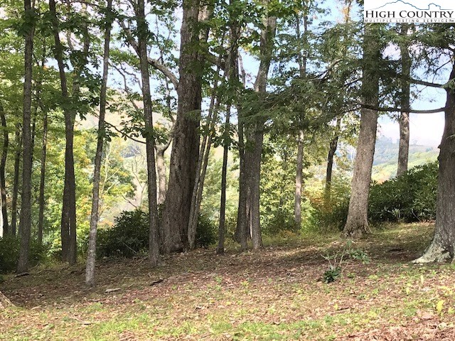 Lot 5 Ridgeview Lane Banner Elk, NC 28604 - Photo 11 of 14 Gallery Image 11