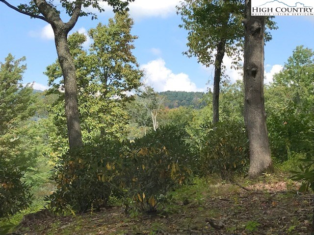 Lot 5 Ridgeview Lane Banner Elk, NC 28604 - Photo 8 of 14 Gallery Image 8