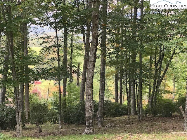Lot 5 Ridgeview Lane Banner Elk, NC 28604 - Photo 10 of 14 Gallery Image 10