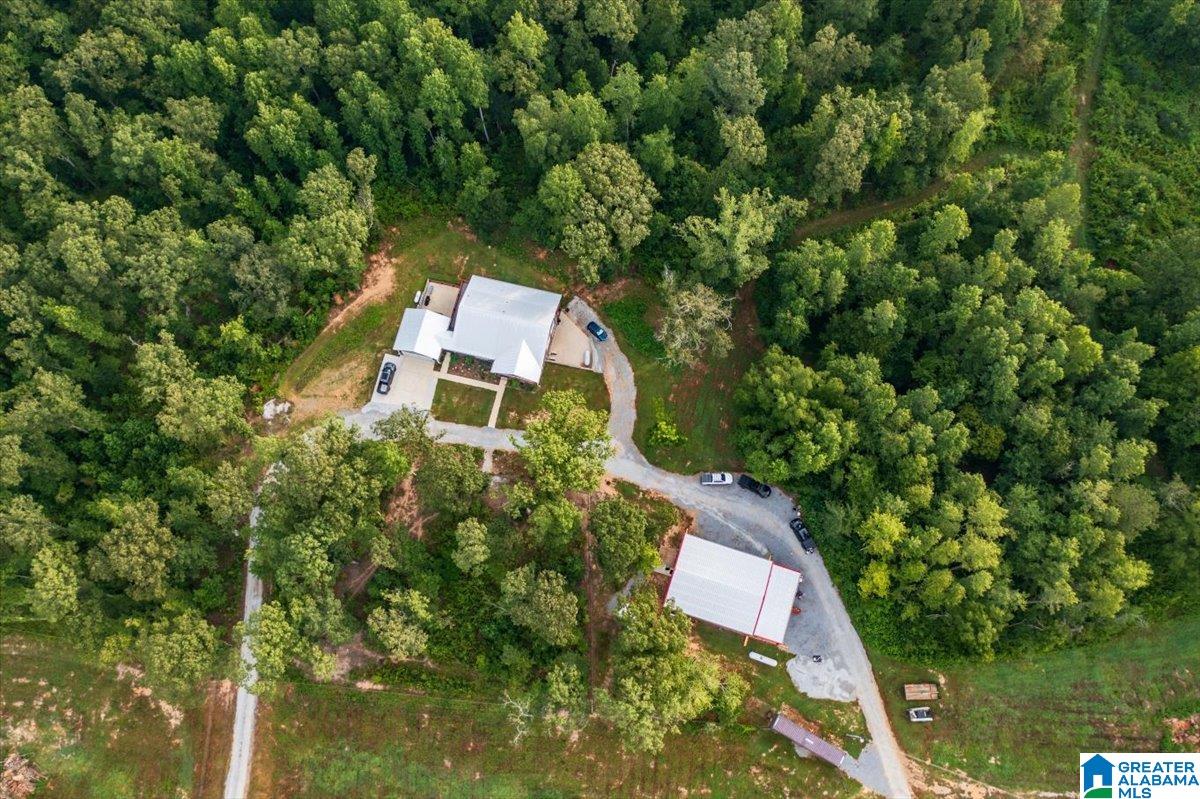 12414 County Road 49 Heflin, AL 36264 - Photo 19 of 63