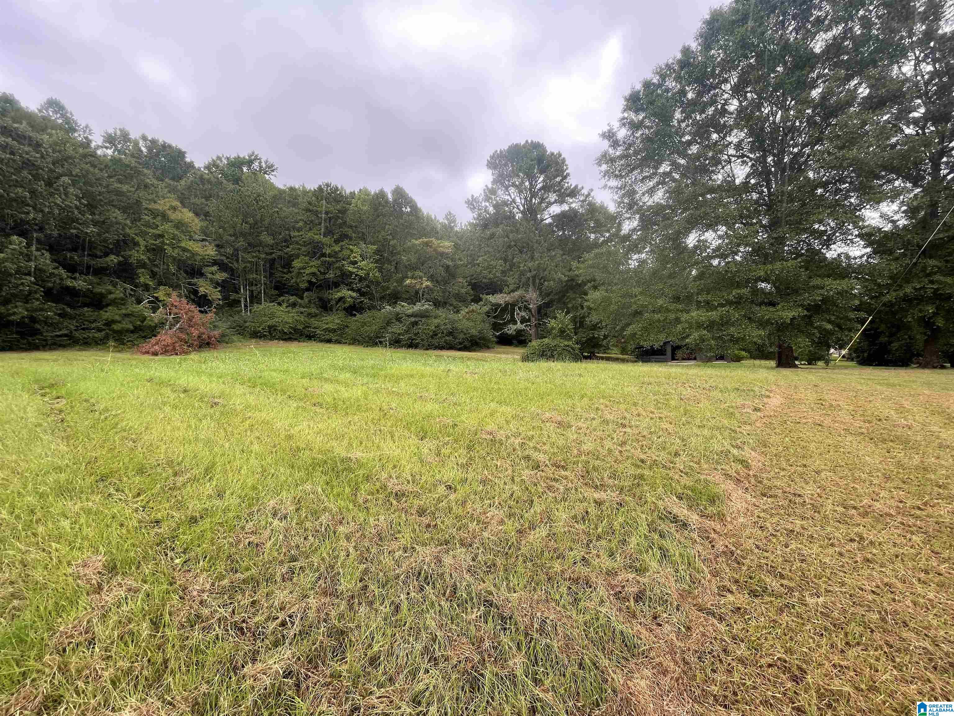 711 Wolf Creek Road South Pell City, AL 35128 - Photo 40 of 40