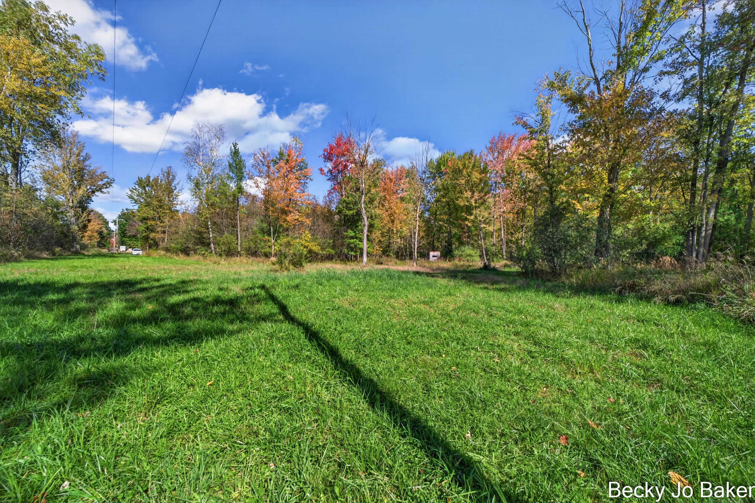 5370 North Alamando Road Coleman, MI 48618 - Photo 42 of 48 5370 N Alamando Rd MLS Size (74 of 92)