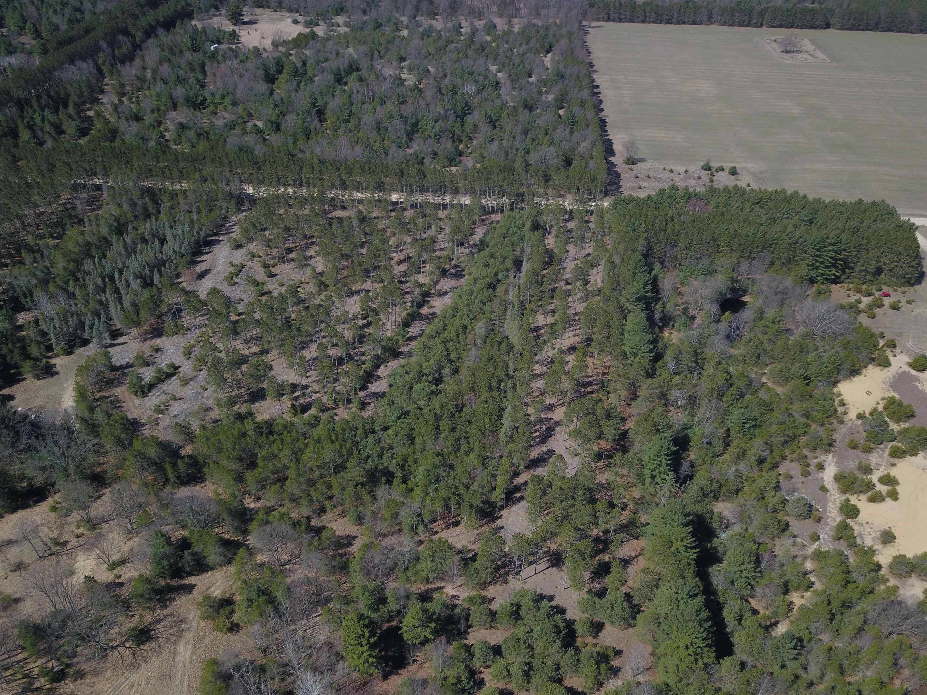 9.69-acres Niemi Road Kaleva, MI 49645 - Photo 16 of 30