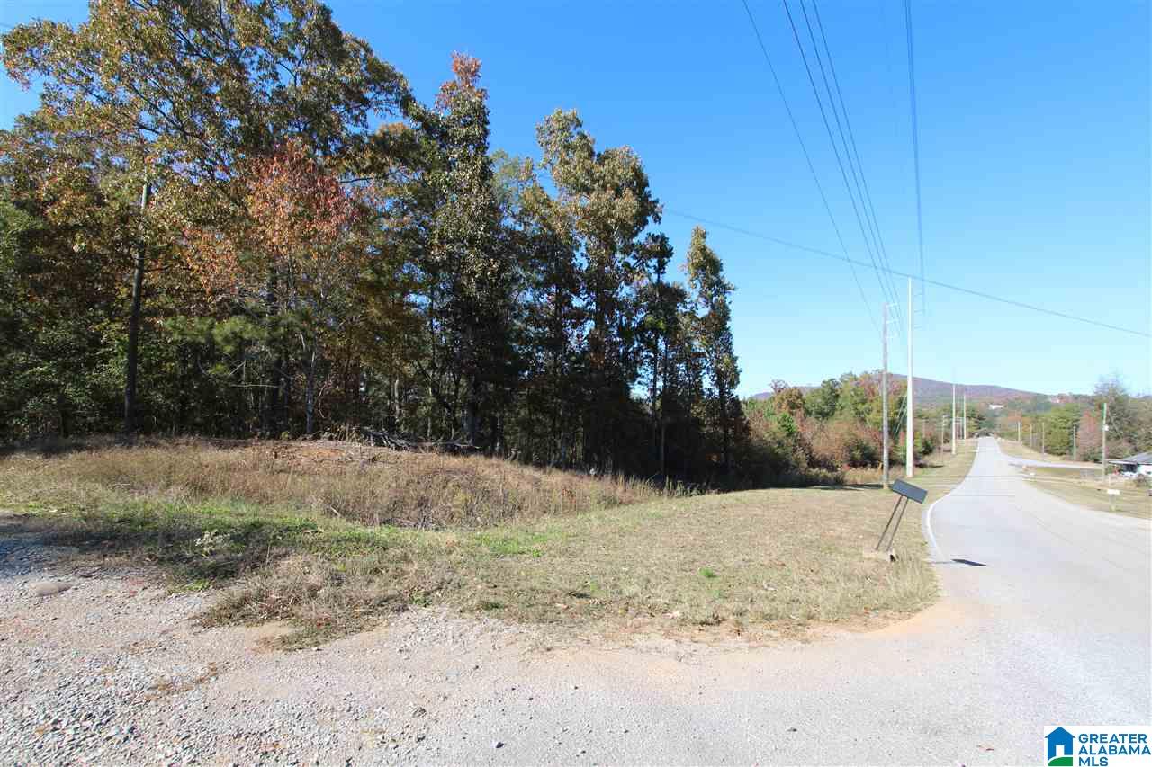 3800 Silver Run Road Oxford, AL 36203 - Photo 37 of 37