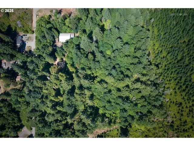 a view of a house with a plant
