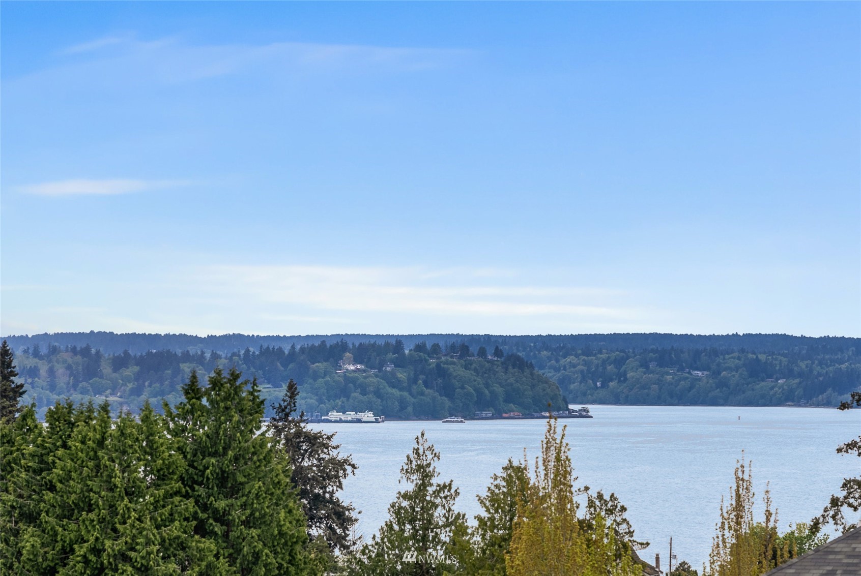 4207 Southwest Frontenac Street Seattle, WA 98136 - Photo 30 of 36 a view of city and mountain