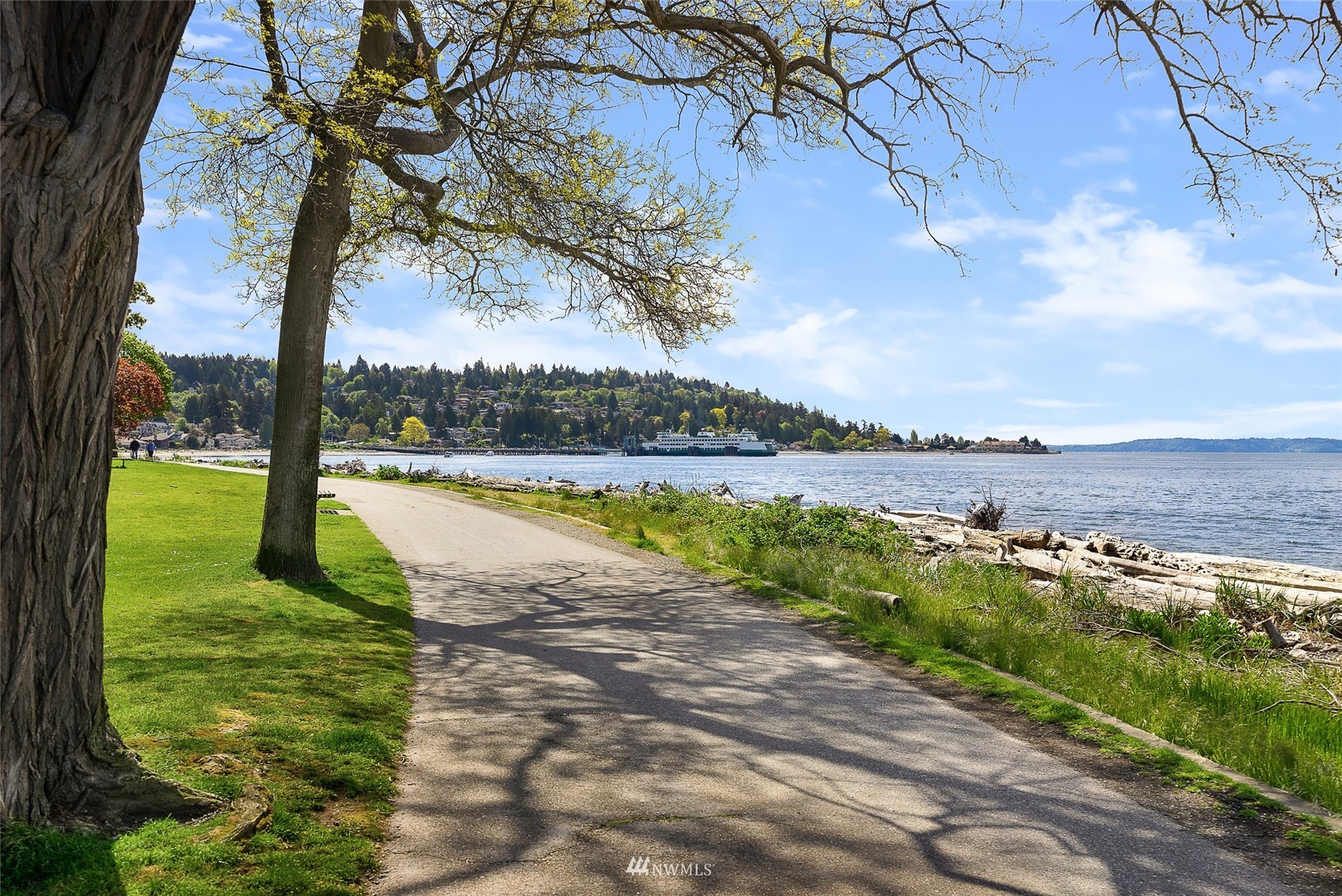 4207 Southwest Frontenac Street Seattle, WA 98136 - Photo 36 of 36 a view of a lake with a big yard