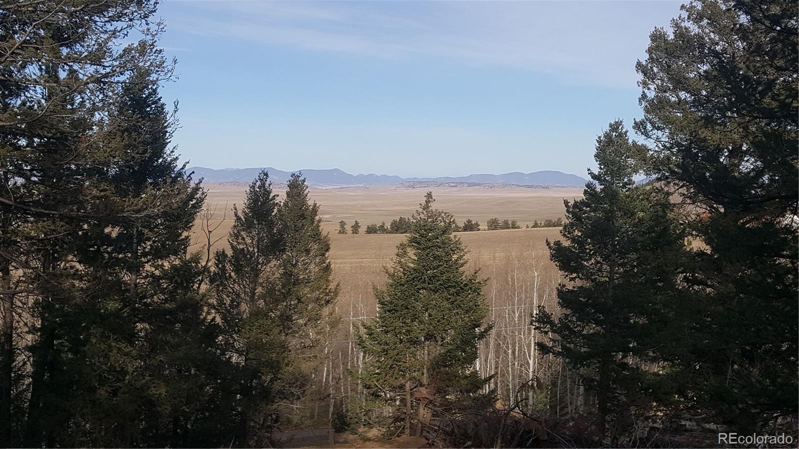 1144 Campfire Road Hartsel, CO 80449 - Photo 1 of 13