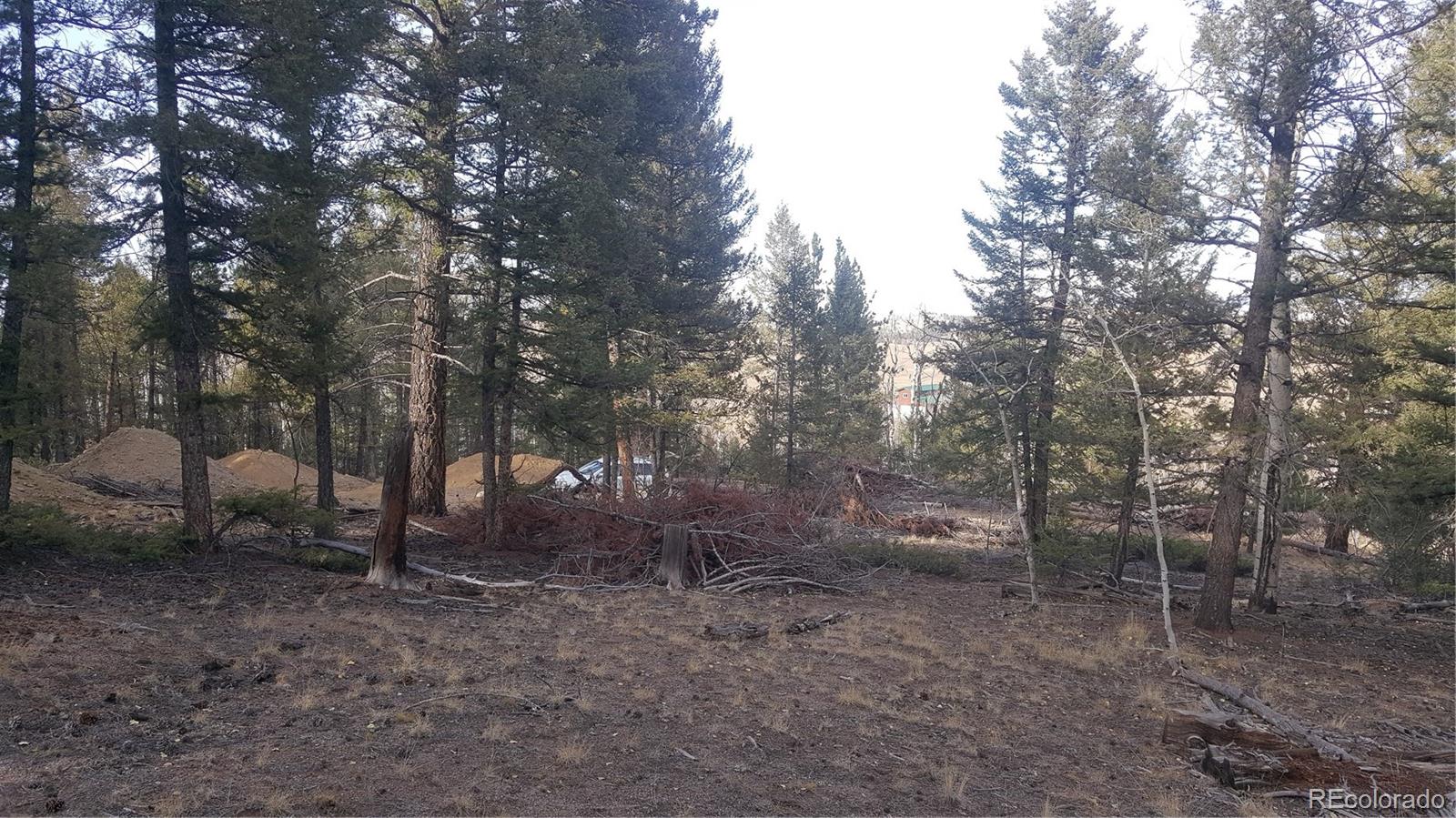 1144 Campfire Road Hartsel, CO 80449 - Photo 12 of 13