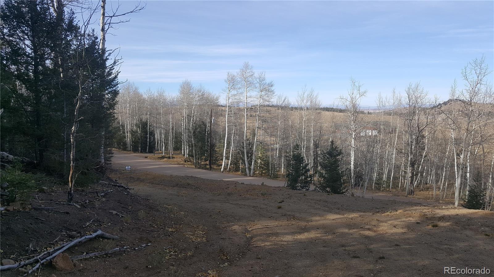 1144 Campfire Road Hartsel, CO 80449 - Photo 6 of 13