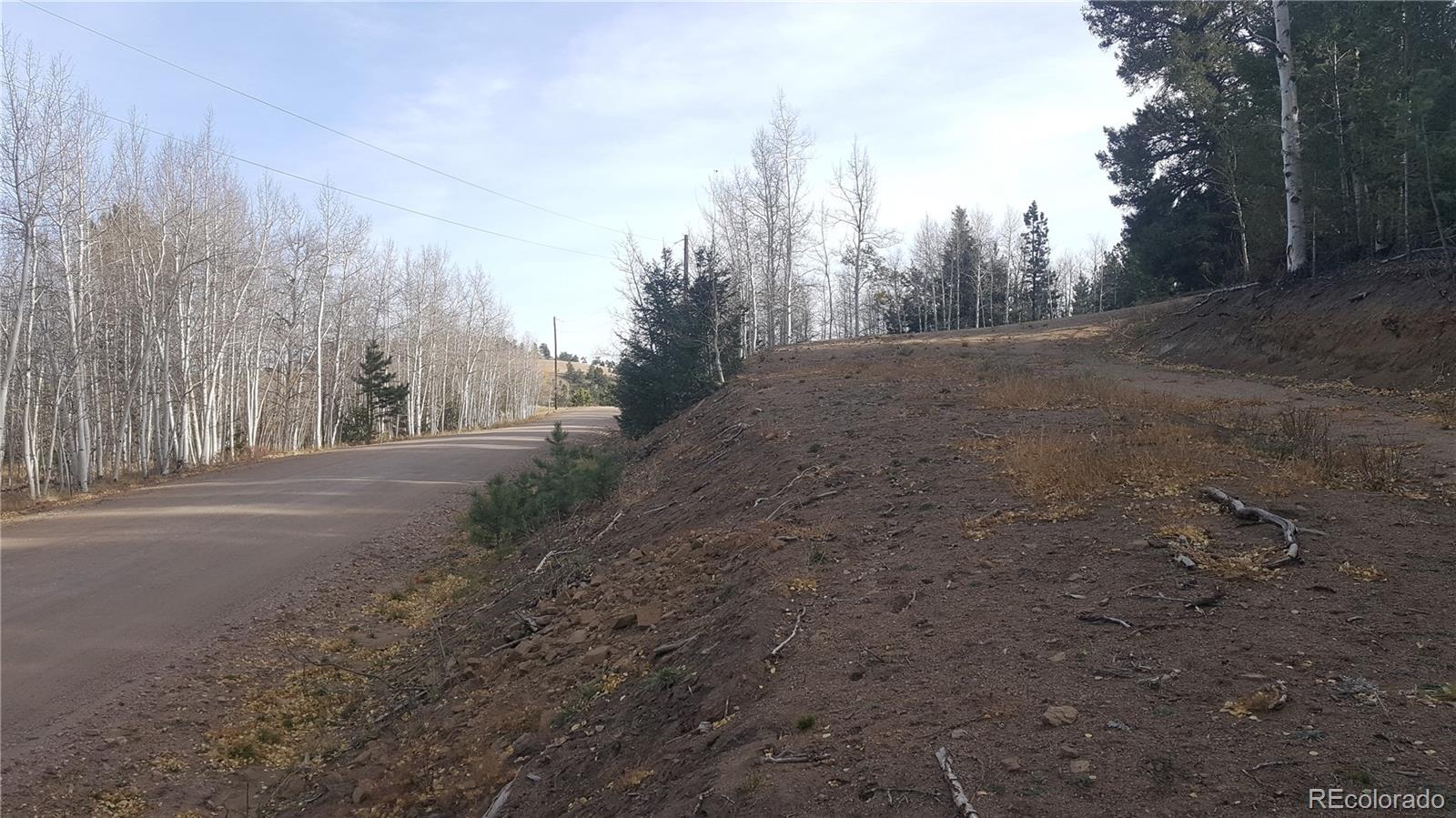 1144 Campfire Road Hartsel, CO 80449 - Photo 7 of 13