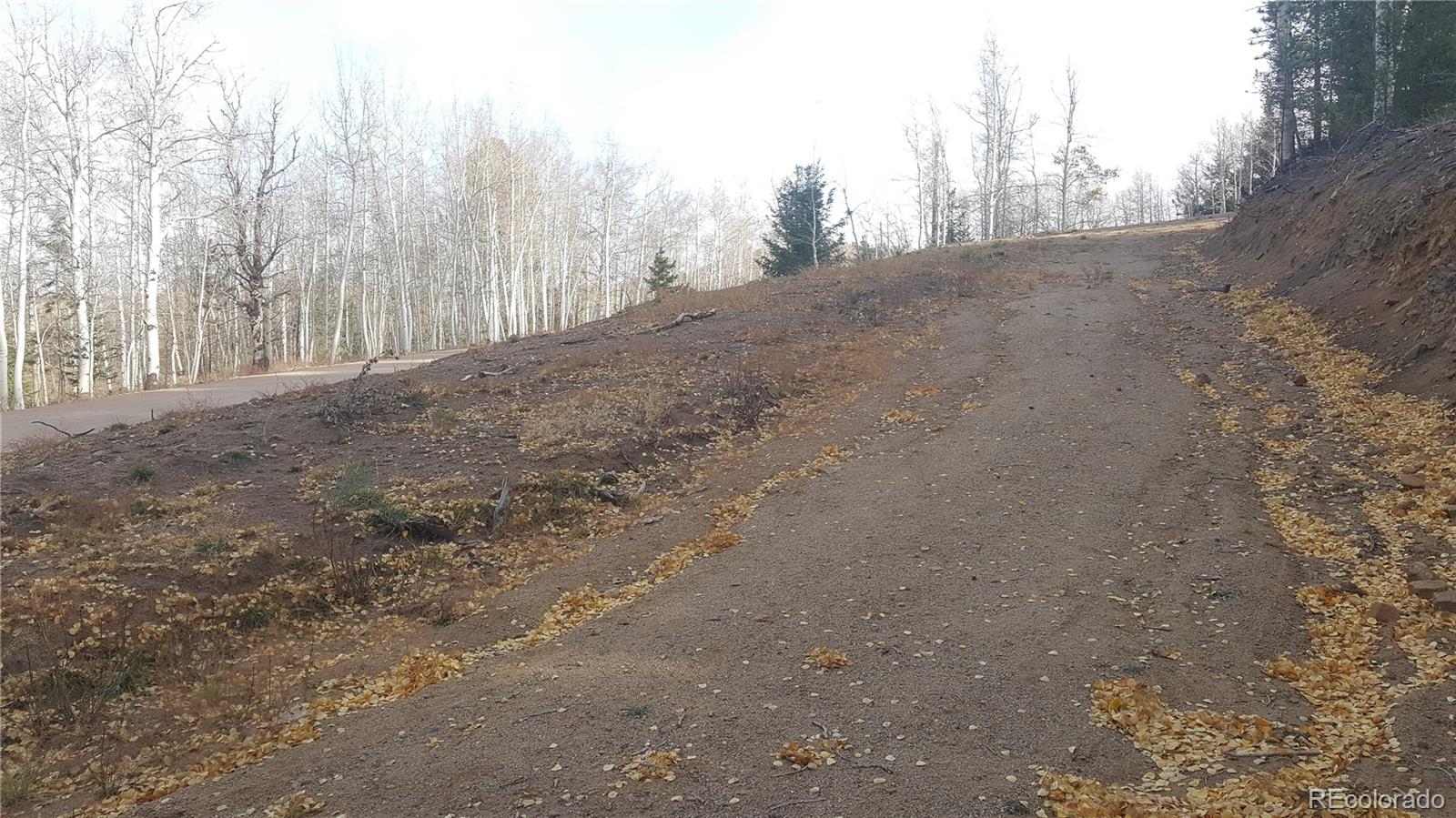 1144 Campfire Road Hartsel, CO 80449 - Photo 8 of 13