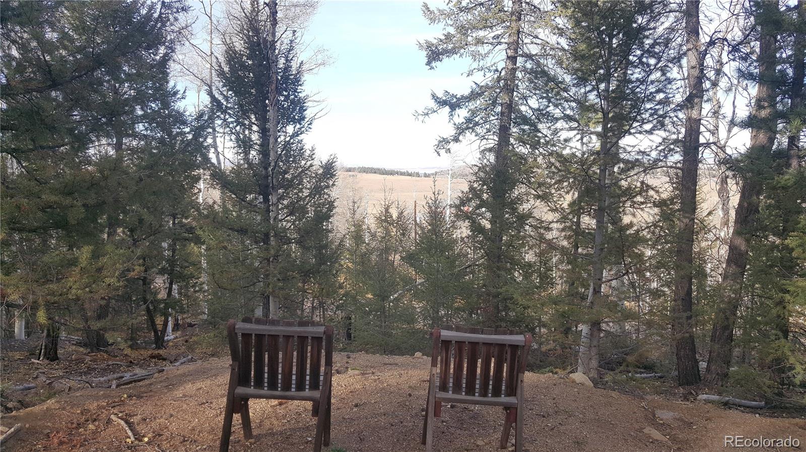 1144 Campfire Road Hartsel, CO 80449 - Photo 9 of 13