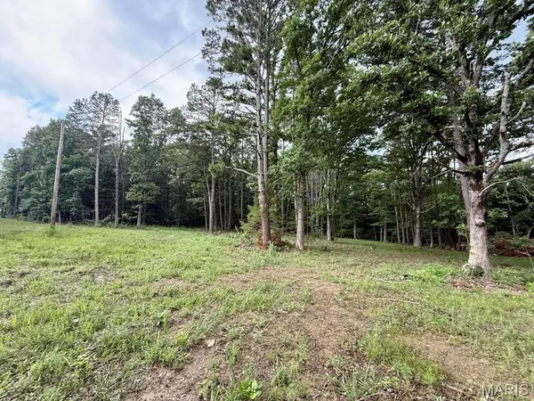 $82,500 | 0 West Highway 32, Licking, MO 65542