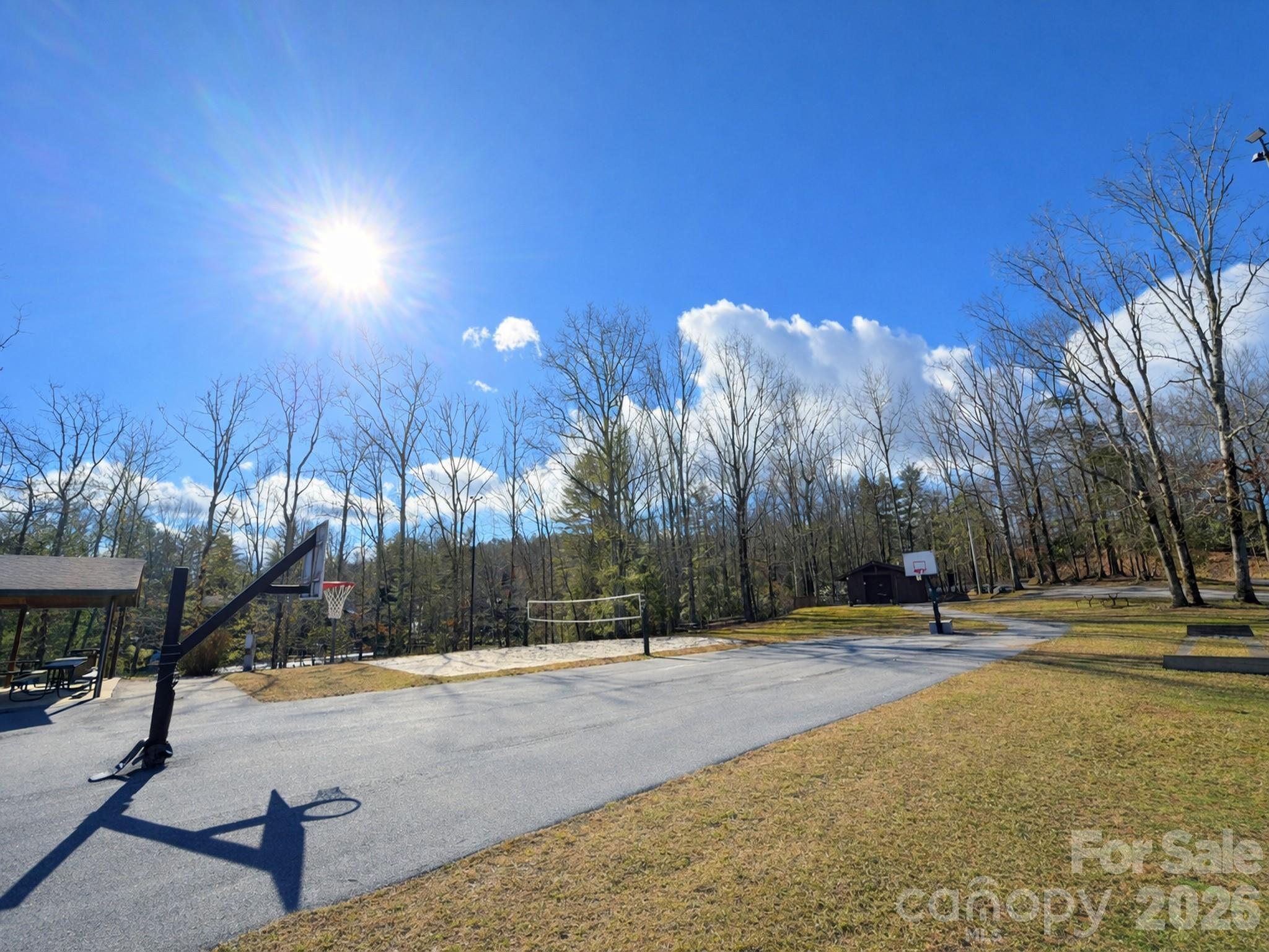 19 Cheestoonaya Way, Unit 25 Brevard, NC 28712 - Photo 12 of 18 a view of road with trees