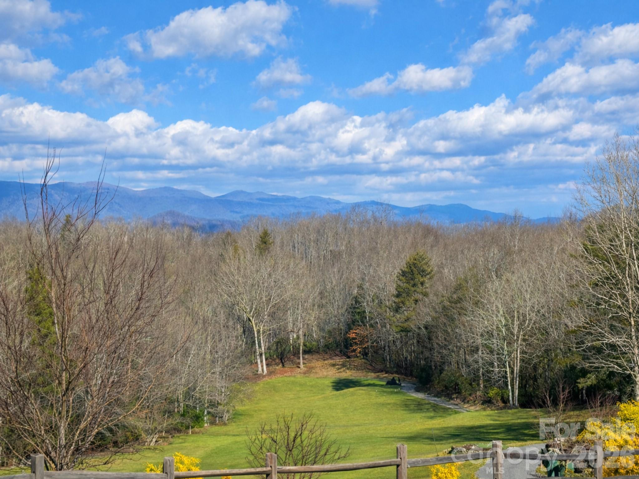 19 Cheestoonaya Way, Unit 25 Brevard, NC 28712 - Photo 5 of 18 a view of a yard with mountain and trees