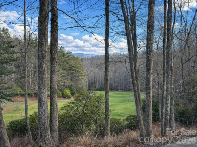 a view of a forest from a corridor