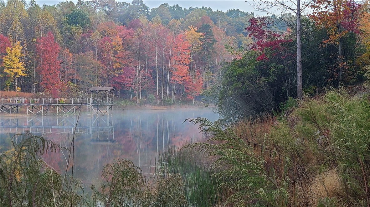 1 Lenore B Lane Mountain Rest, SC 29664 - Photo 24 of 30