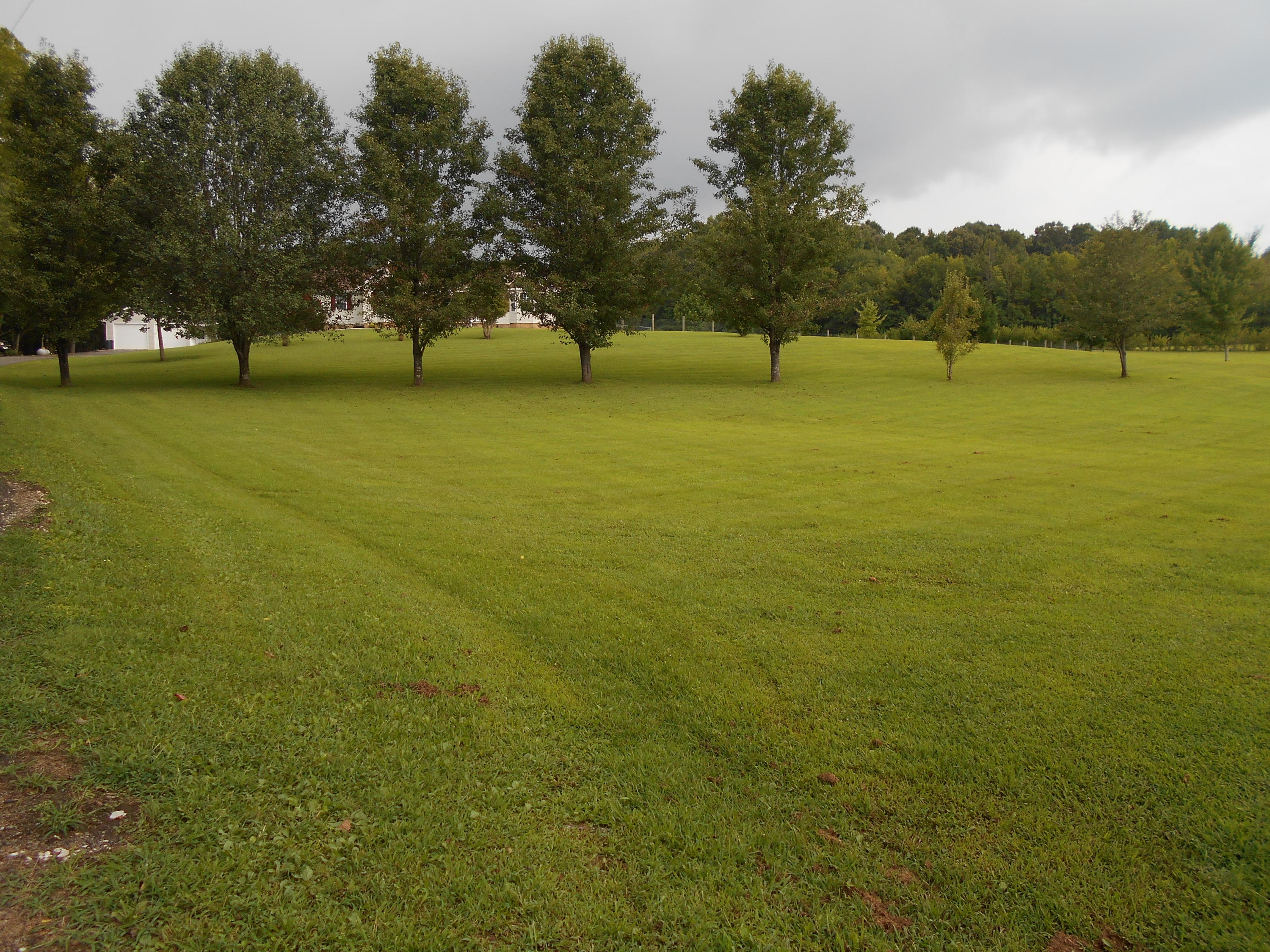 18125 North No Pone Valley Road Decatur, TN 37322 - Photo 38 of 39 DSCN1787