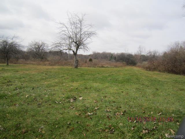 4986 Skelton Road Columbiaville, MI 48421 - Photo 14 of 14 4986 Skelton Land (4).jpg