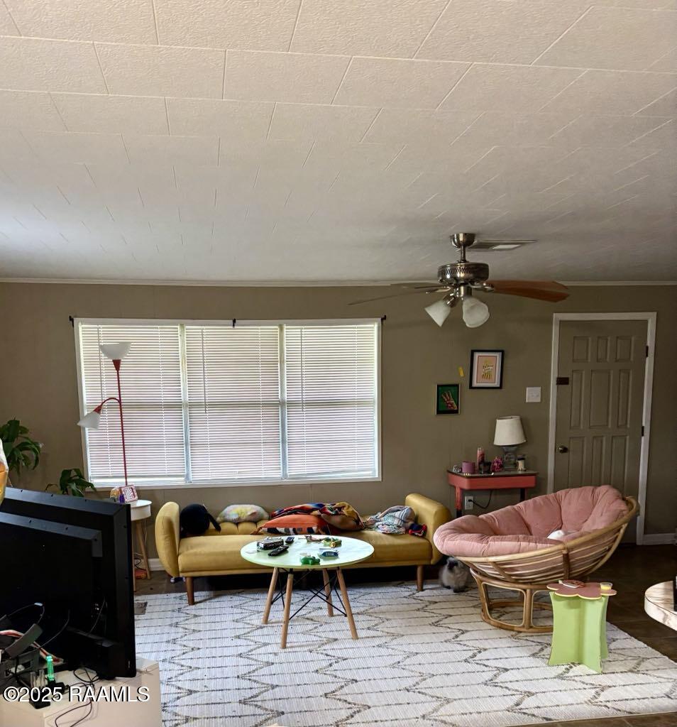 800 Walnut Street Mamou, LA 70554 - Photo 4 of 10 b0e593c4-18aa-4941-8b41-dc28adbf3020