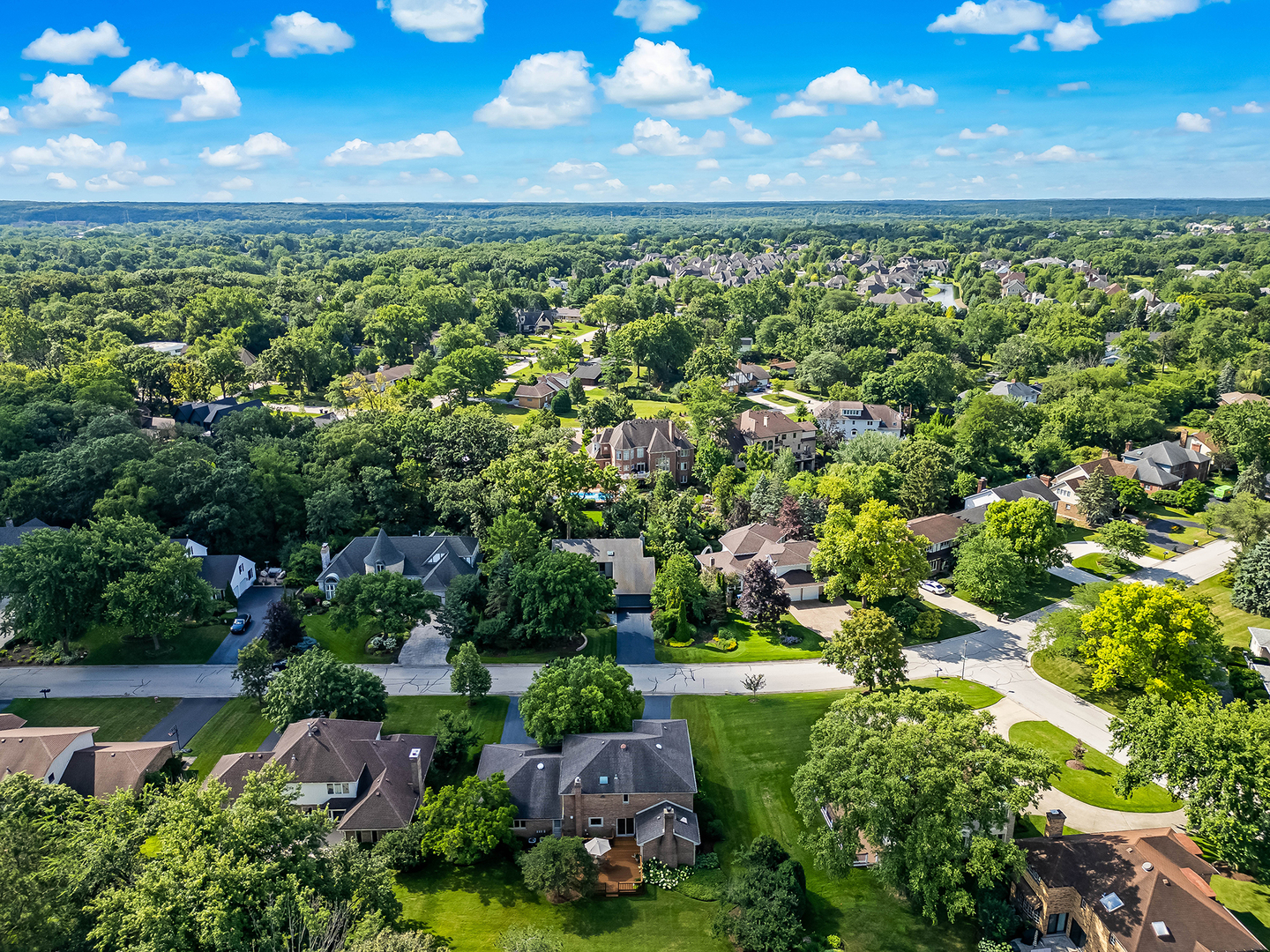11516 Burr Oak Lane Burr Ridge, IL 60527 - Photo 54 of 62
