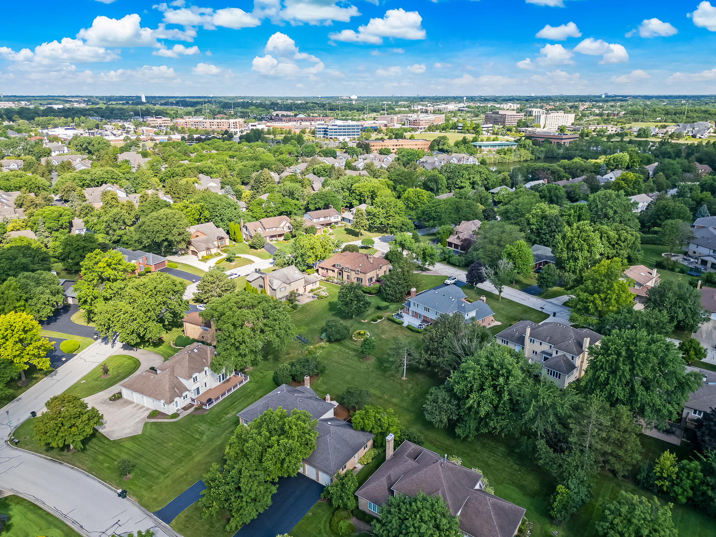 11516 Burr Oak Lane Burr Ridge, IL 60527 - Photo 55 of 62