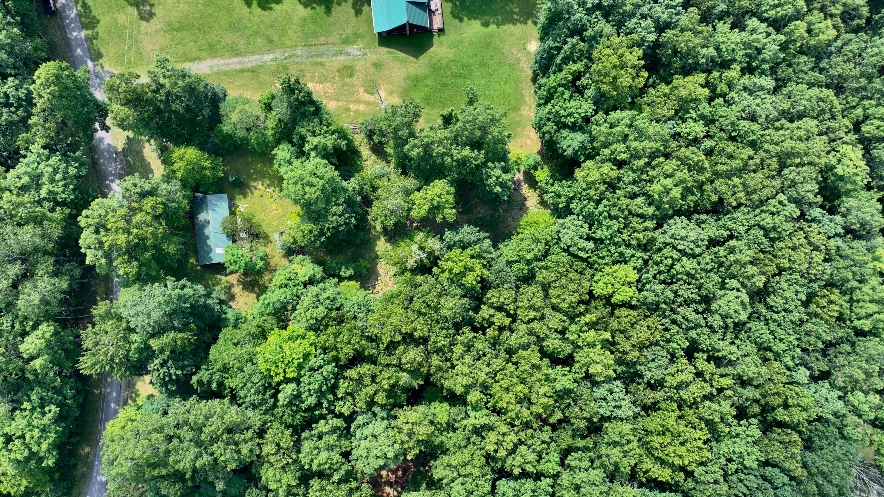 2703 Slab Camp Road Renick, WV 24966 - Photo 13 of 26 Gallery Image 13